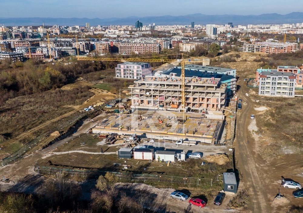 large_DJI_0398.jpg