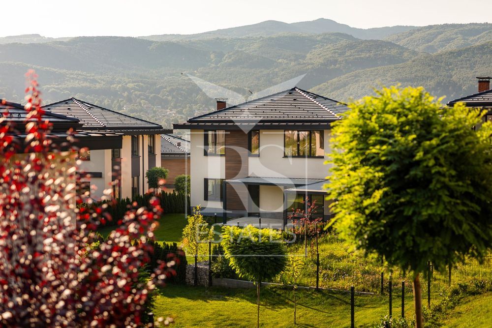 large__08_1925 copy.jpg